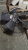 IMG-20250124-WA0007