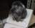 IMG-20240905-WA0004